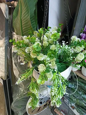 Plastic Vase and Flower