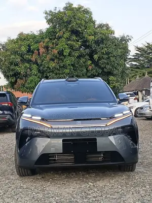 BYD Tang EV 2025 Gray