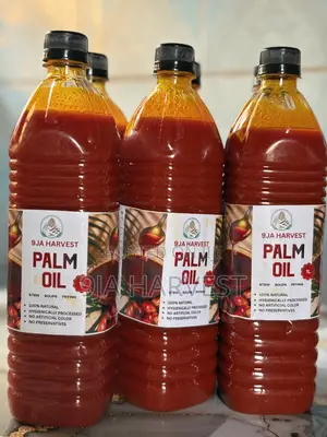 1L Enugu Palm Oil in Abuja