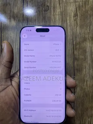 Apple iPhone 16 Pro 256 GB Gray