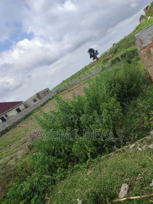 Land Property