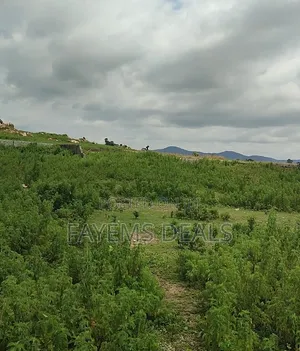 Landed Property