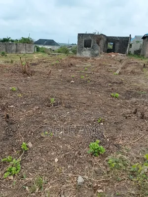 Full Plot Corner Piece Land in Peace, Ado-Odo/Ota for Sale
