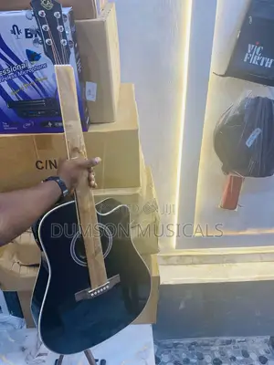Classic Audio Electroacoustic Guitar