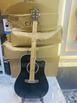 Classic Audio Electroacoustic Guitar