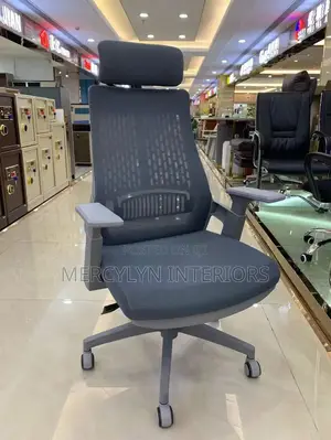 Swivel Ergonomic Office Chair