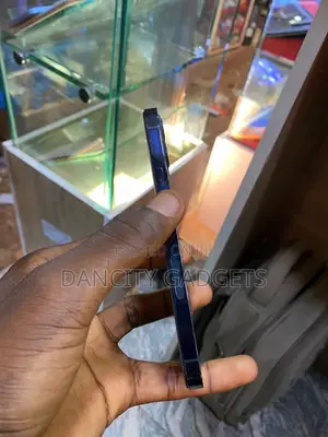 Apple iPhone 12 Pro Max 128 GB Blue