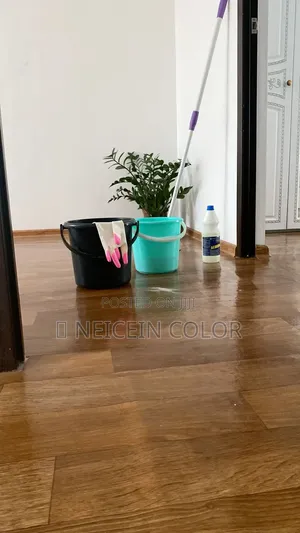Cleaning Lugbe