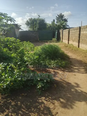 Almost Full Plot of Land With a Demolishable Structure