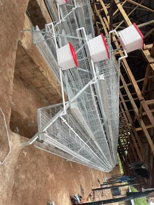 Poultry Cage