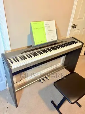 Clean Used Casio Privia PX-100 Digital Piano (88 Weighted Keys)