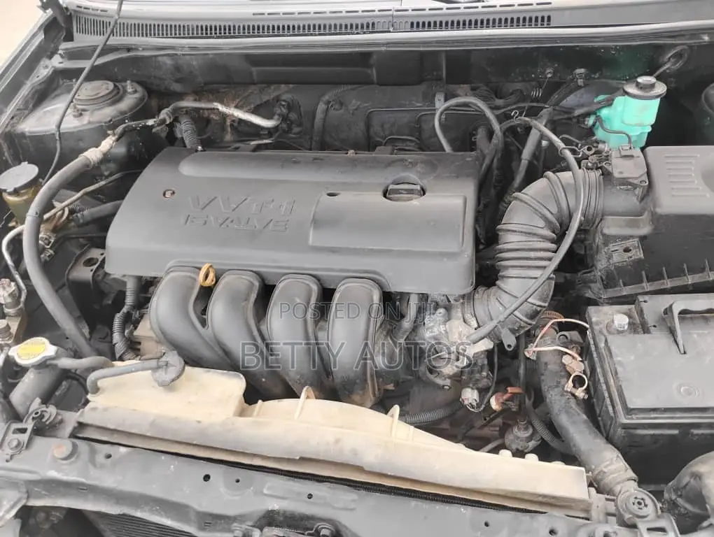 Toyota Corolla 2005 Gray
