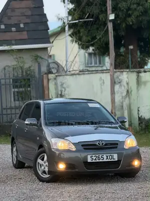 Toyota Corolla 2007 Gray