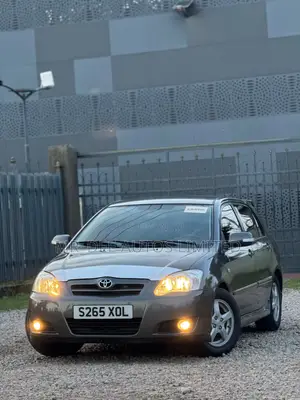 Toyota Corolla 2007 Gray