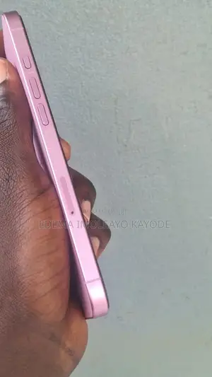 Apple iPhone 16 Plus 256 GB Pink