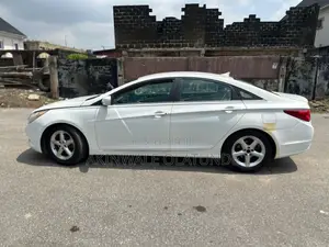Hyundai Sonata 2010 White