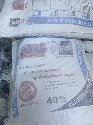 Pure Gips Special Moulding Plaster