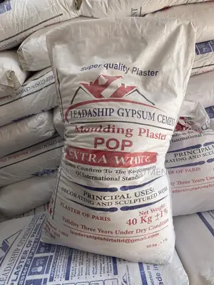 Pure Gips Special Moulding Plaster
