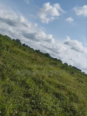 25 Acres of Commercial Land Along Federal Uni of Tech and Agri, Okeho