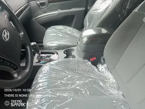 Hyundai Santa Fe 2010 Silver