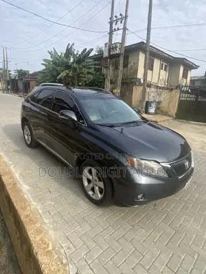 Lexus RX 2010 Gray