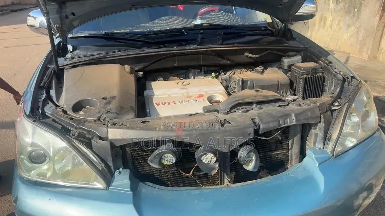 Lexus RX 330 2006 Blue