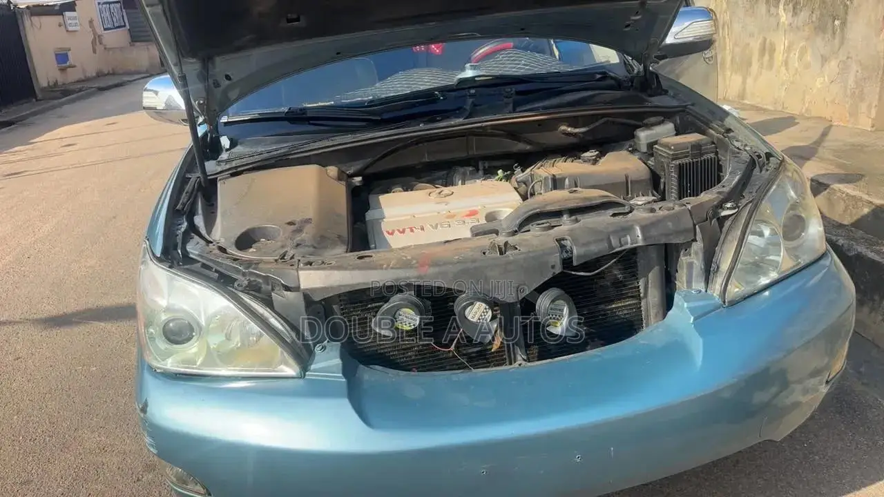 Lexus RX 330 2006 Blue