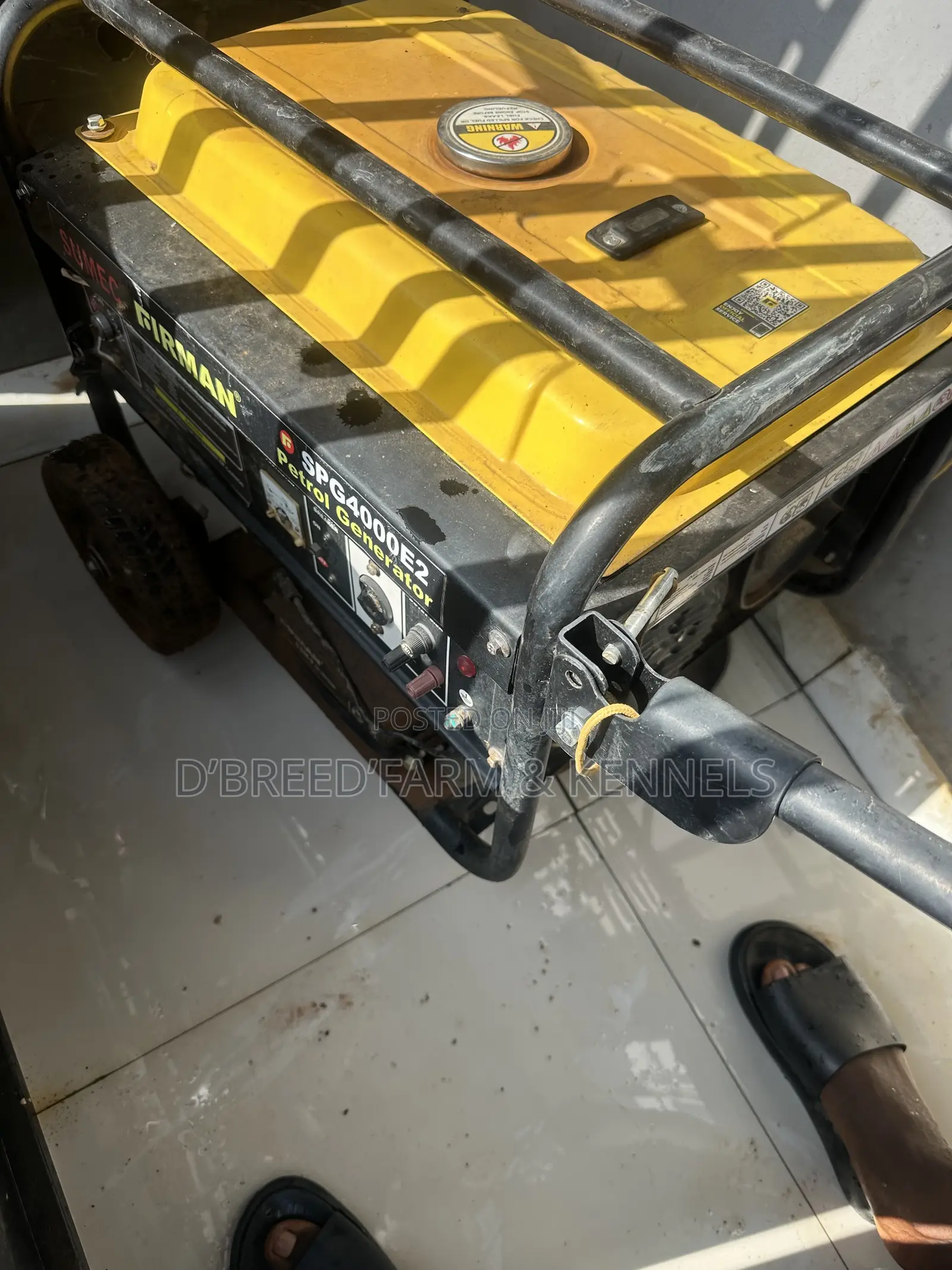 Firman SPG4000E2 Generator