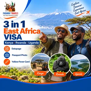 3 in 1 East Africa Visa