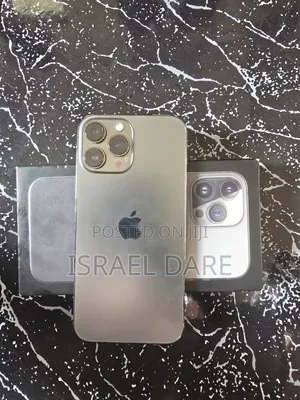 Apple iPhone 13 Pro Max 256 GB Gray