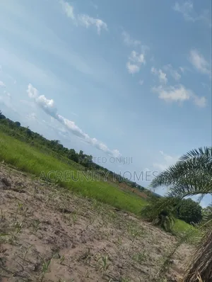 606 Acres of Farmland Available at Edu Village, Along Iseyin-Saki Road