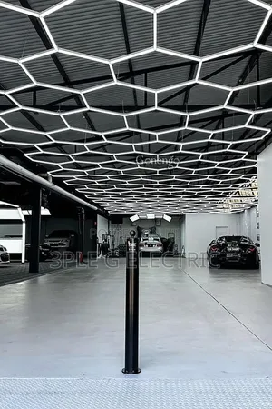 Luxury Ceiling Light for Homes, Hotels and Offices