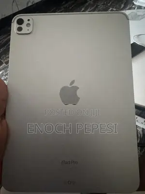 Apple iPad Pro 256 GB Silver