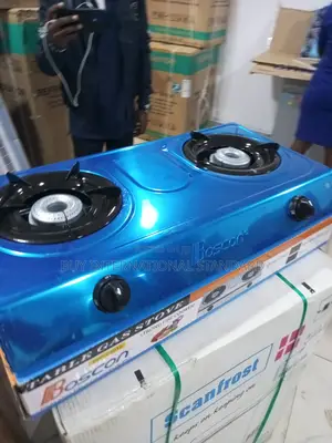 BOSCON 2 Burner Stainless Household Gas Cooker