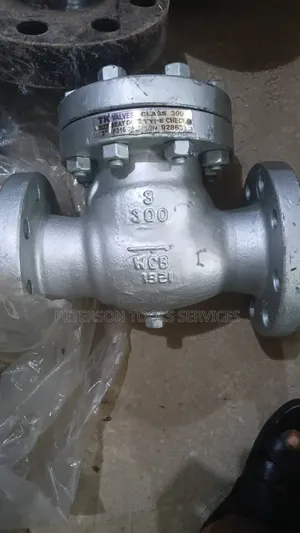 3x300 Check Valve