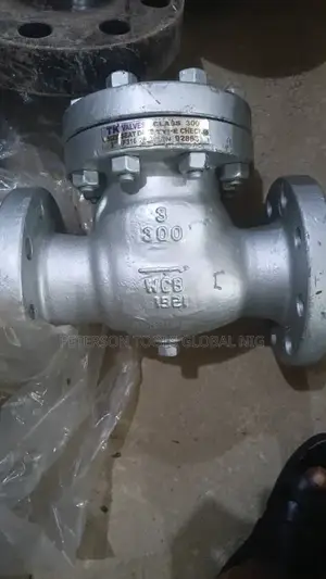 3x300 Check Valve