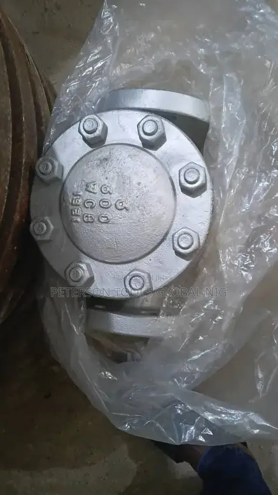3x300 Check Valve