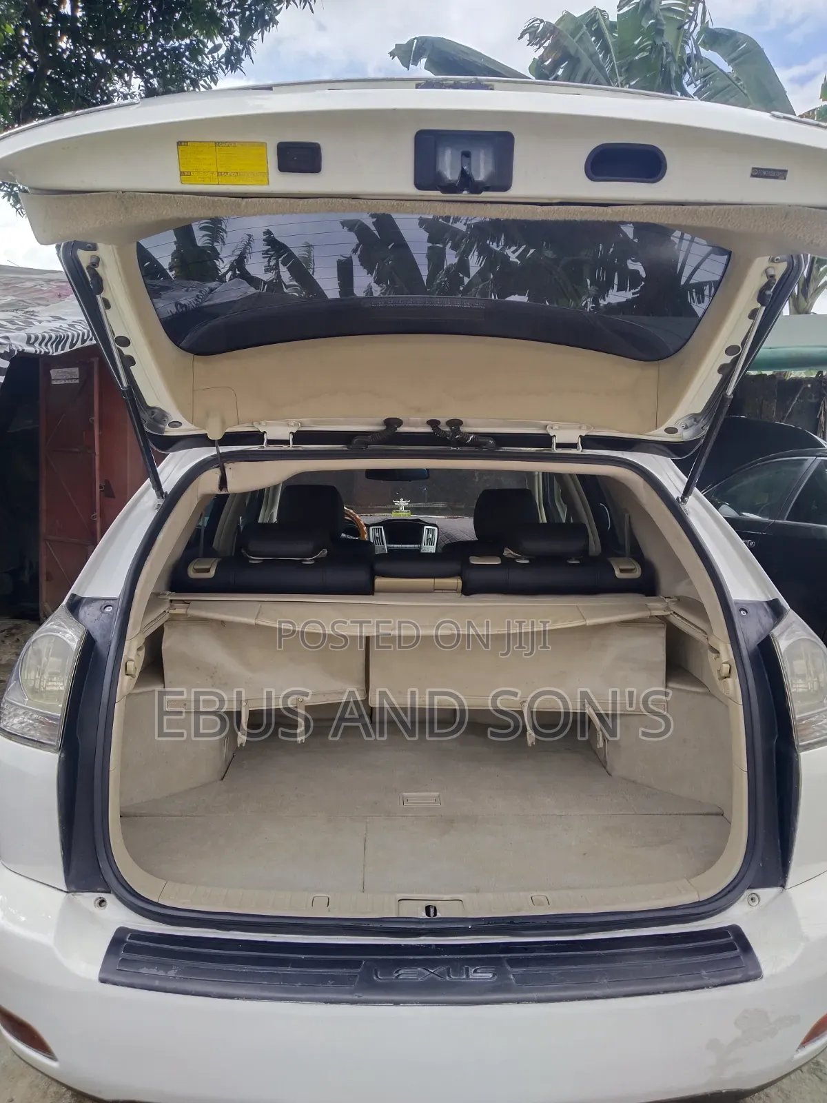 Lexus RX 2008 White