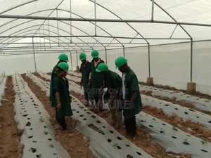 Launch Your Dream Farm With Experts - Anywhere in Nigeria