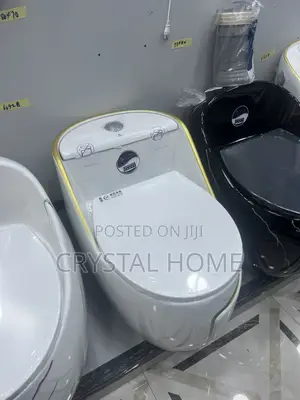 Executive Water Closet With Inbuilt Tank