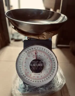 20kg Camry Scale