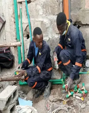 German-Trained Plumber and Tiler