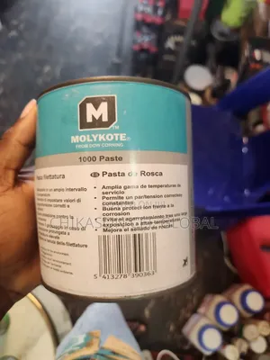 Molykote 1000 Past