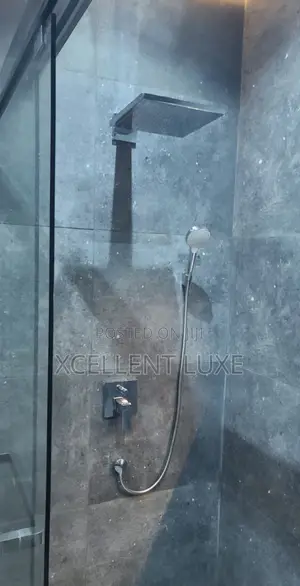 Hansgrohe Concealed Shower Mixer Set. With Big Shower Head