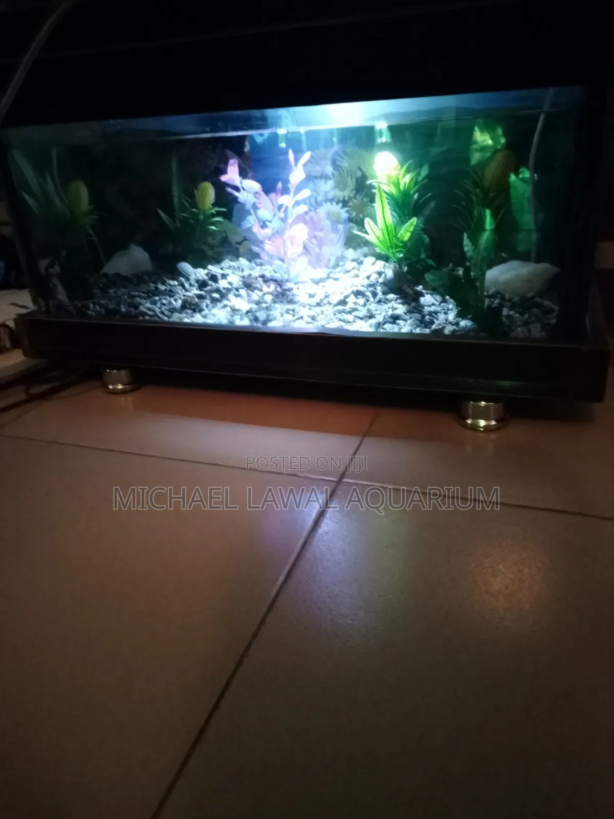 Aquarium Fish Tank