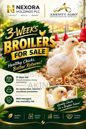 3 Weeks Old Starter Agrited Broilers (Ross 308) - Ado Ekiti