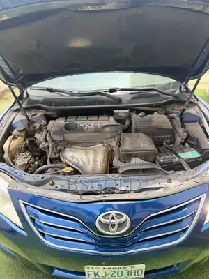 Toyota Camry 2010 Blue