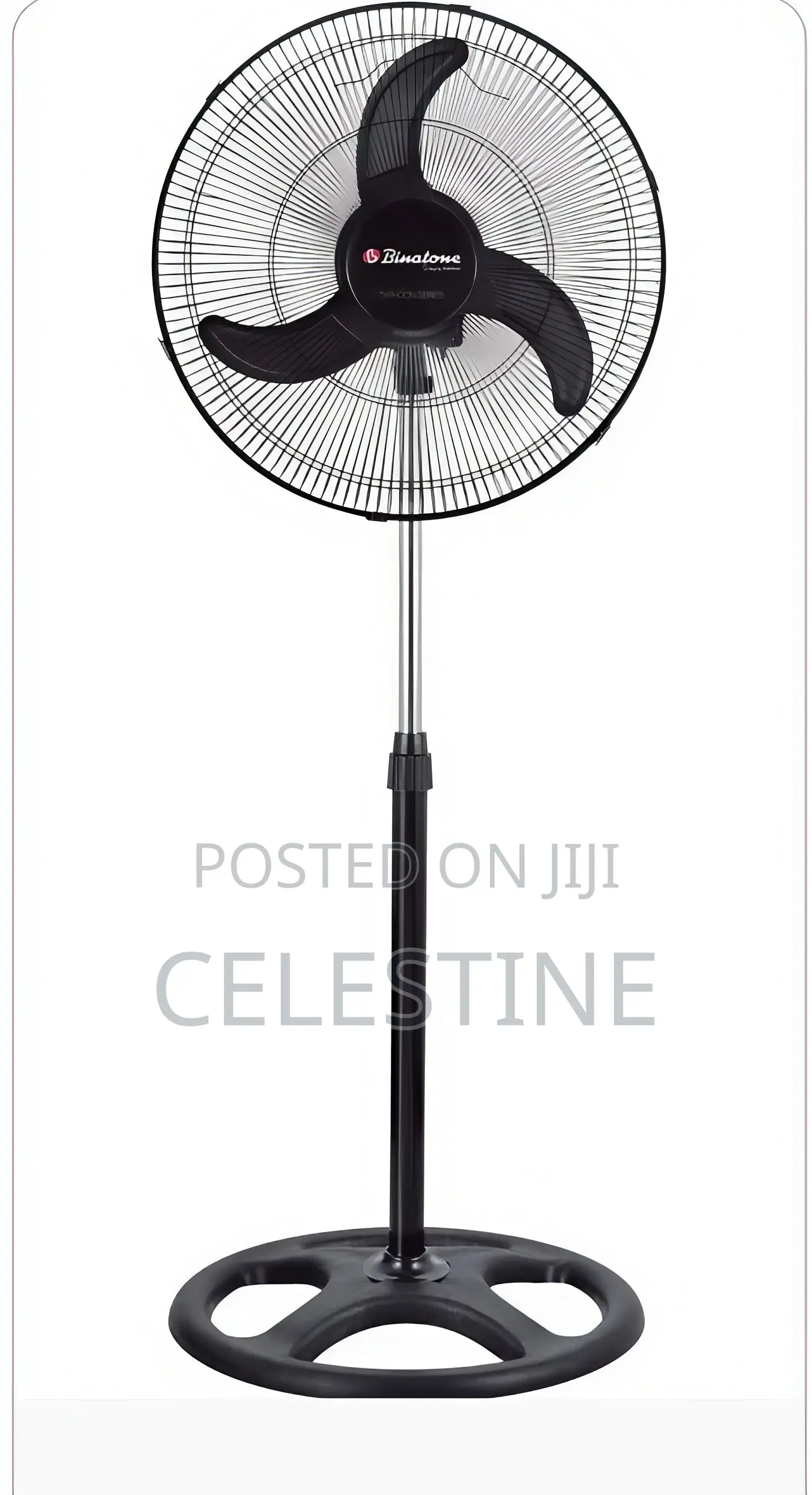 Standing Fans