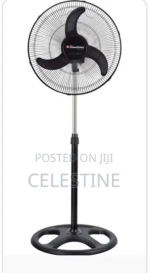 Standing Fans