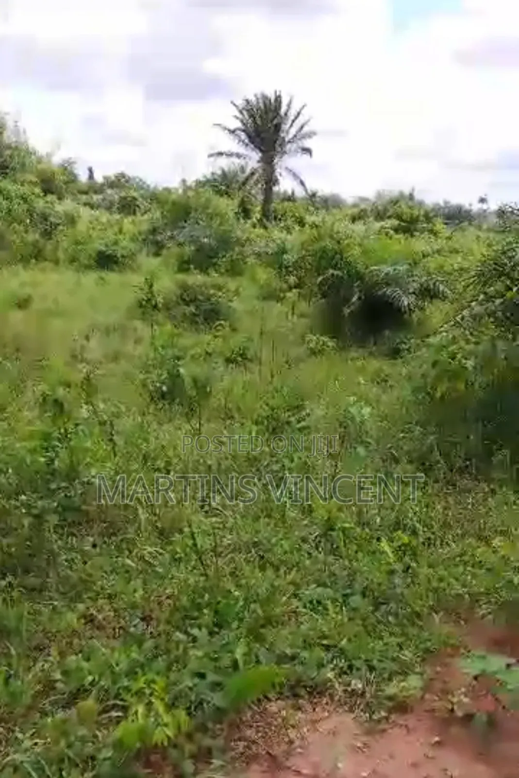 Land Available